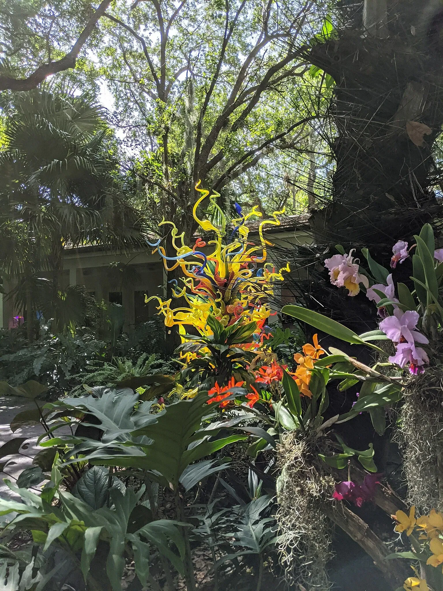 Jardin botanique tropical Fairchild