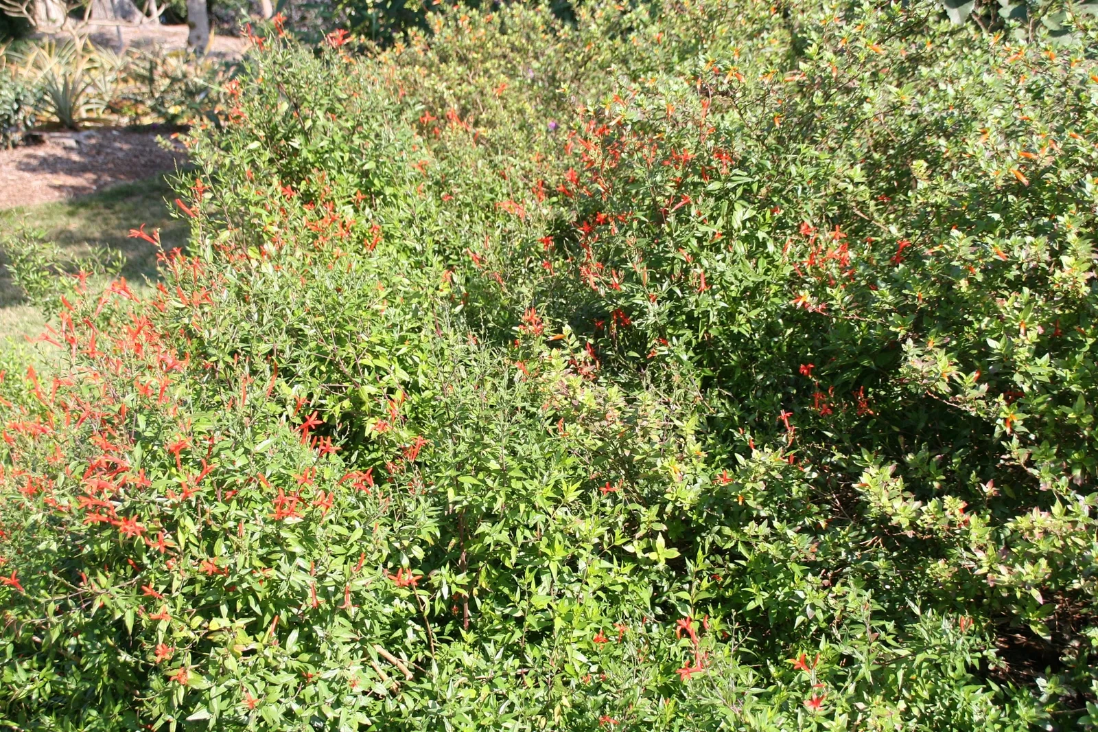 Jardin botanique tropical Fairchild