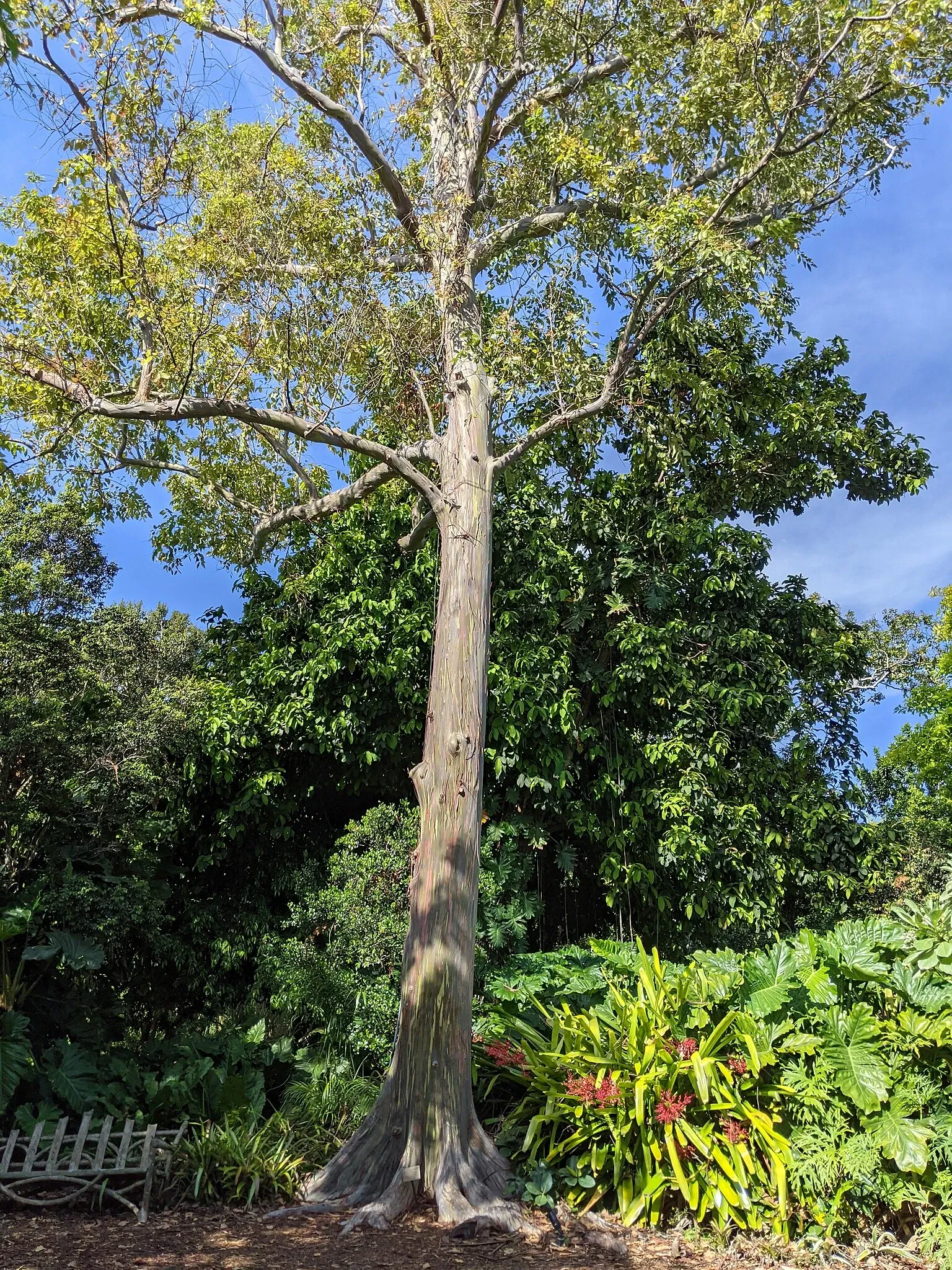 Jardin botanique tropical Fairchild