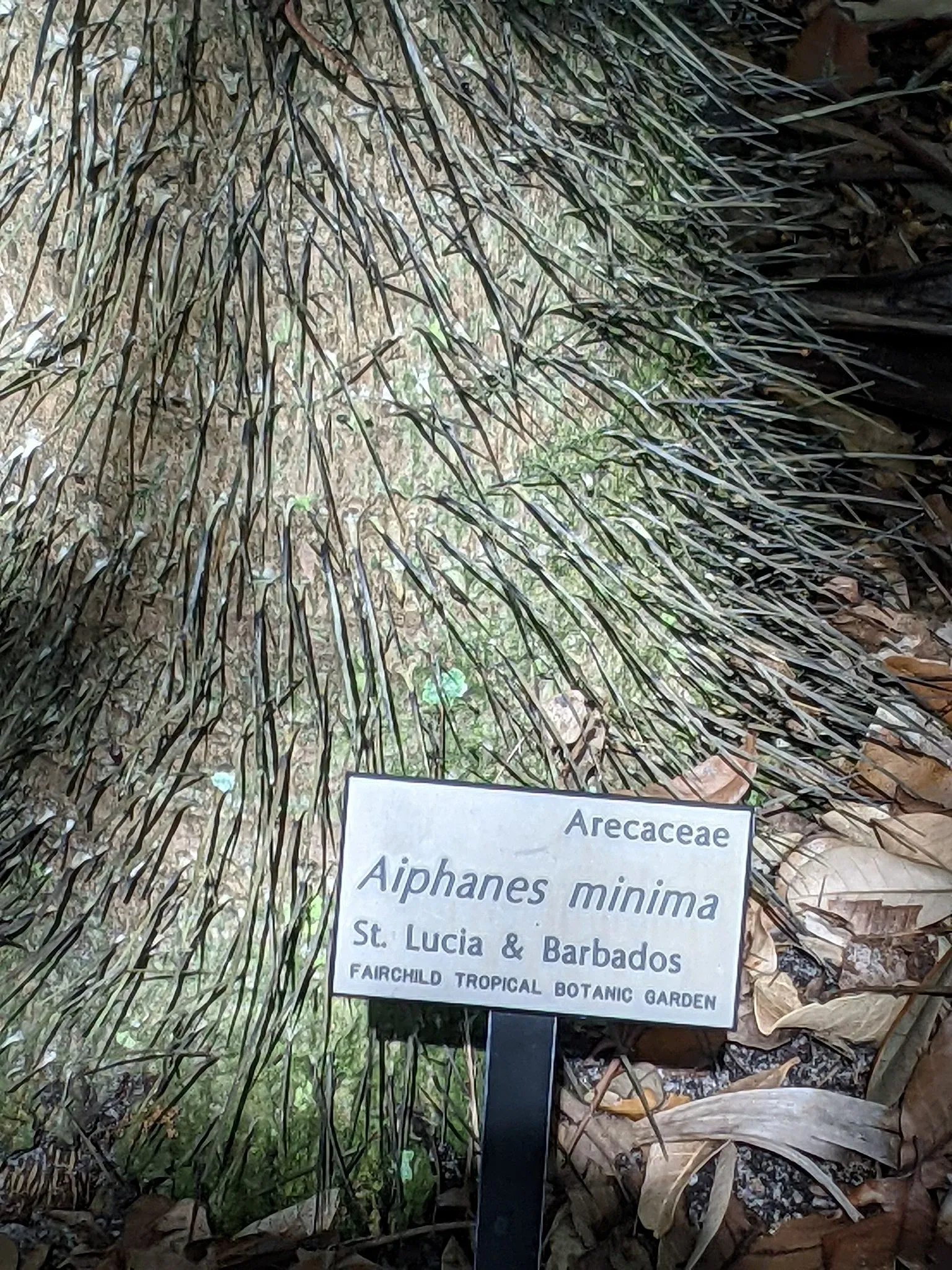 Jardin botanique tropical Fairchild