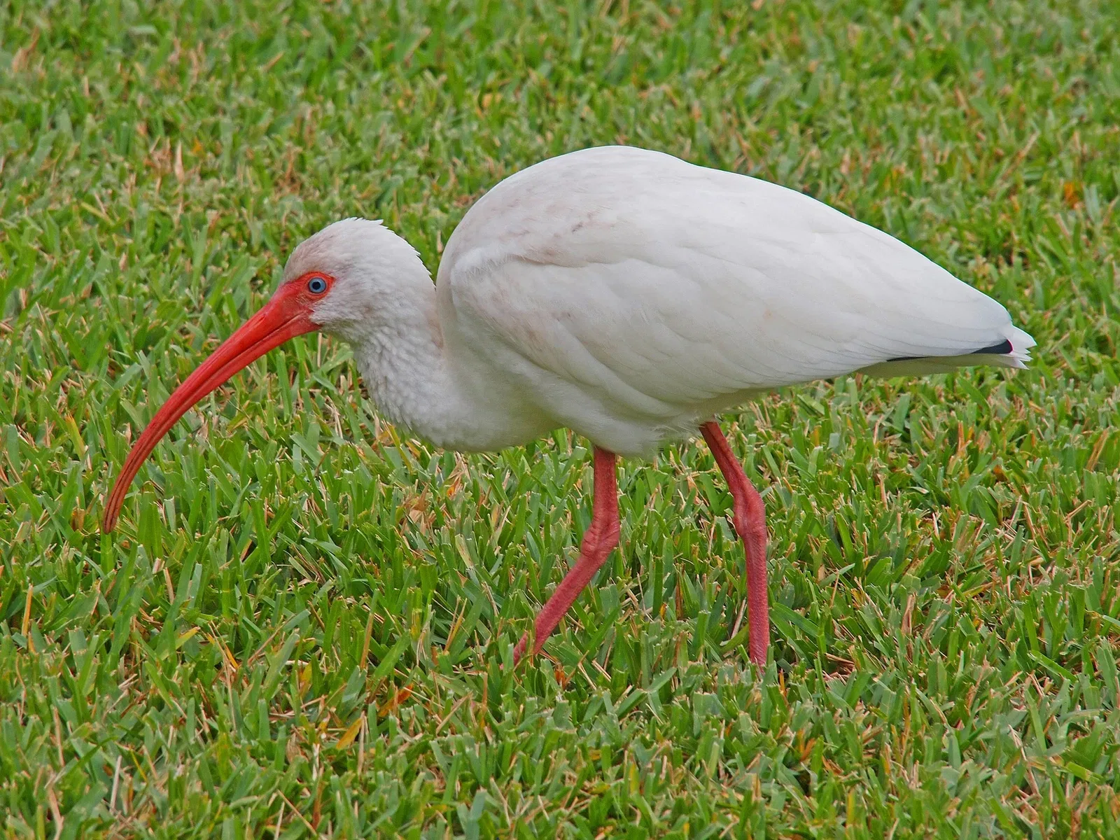 Jardin botanique tropical Fairchild