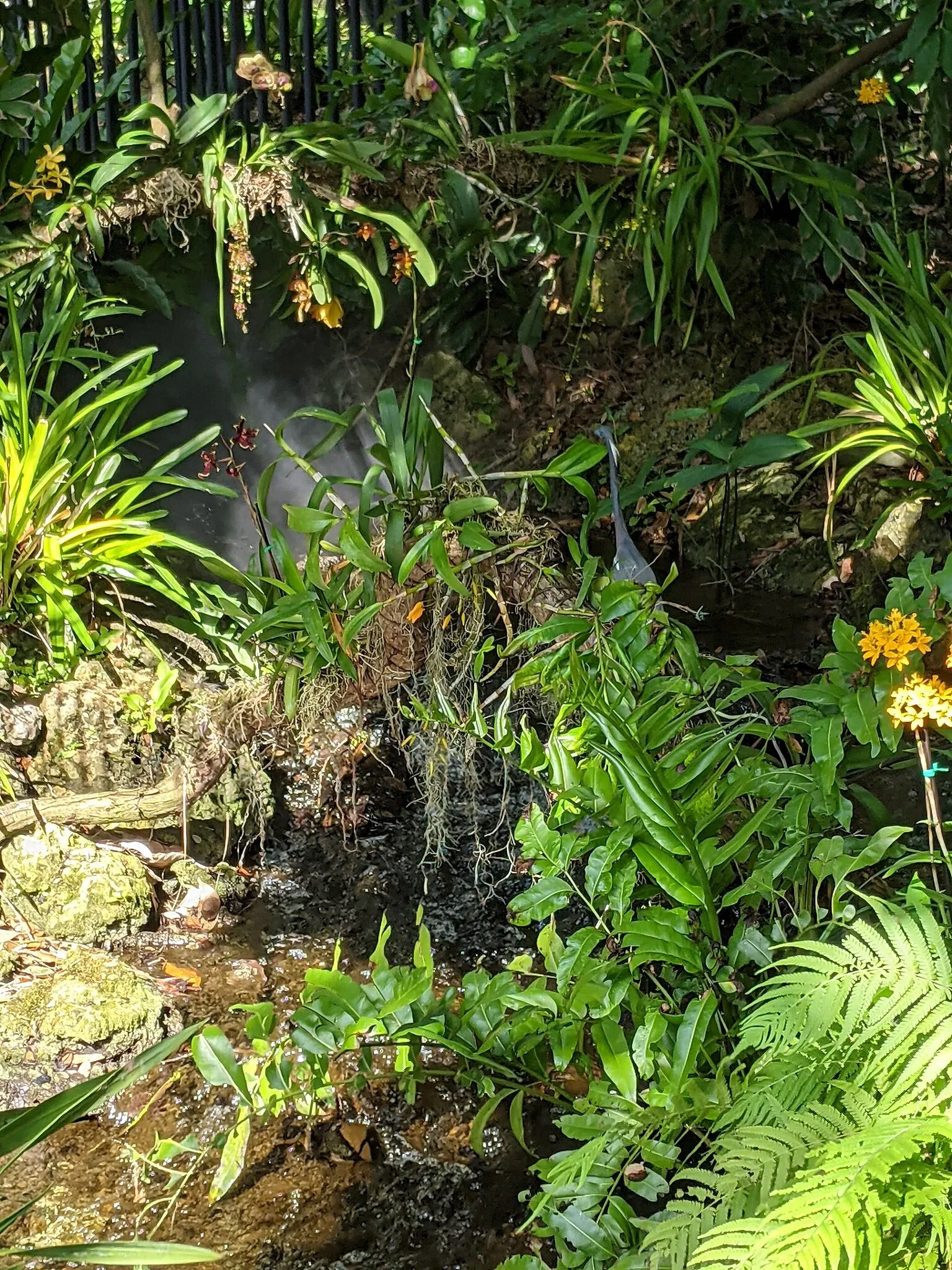 Fairchild Tropical Botanic Garden