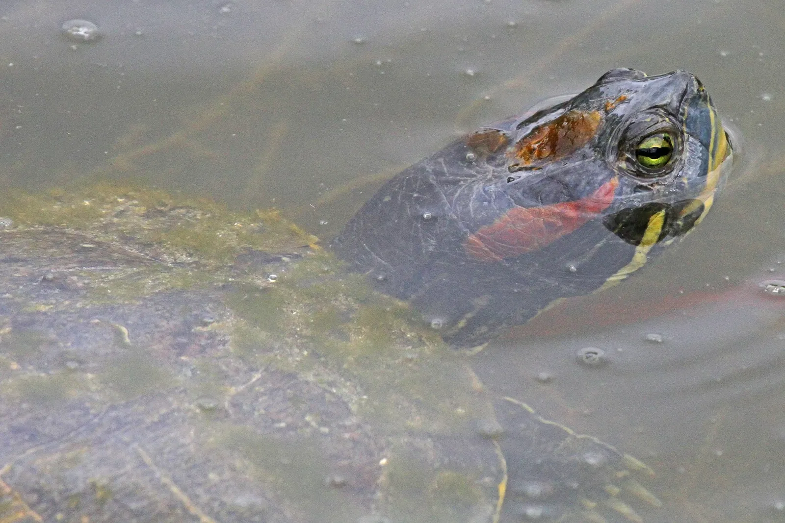 Fairchild Tropical Botanic Garden
