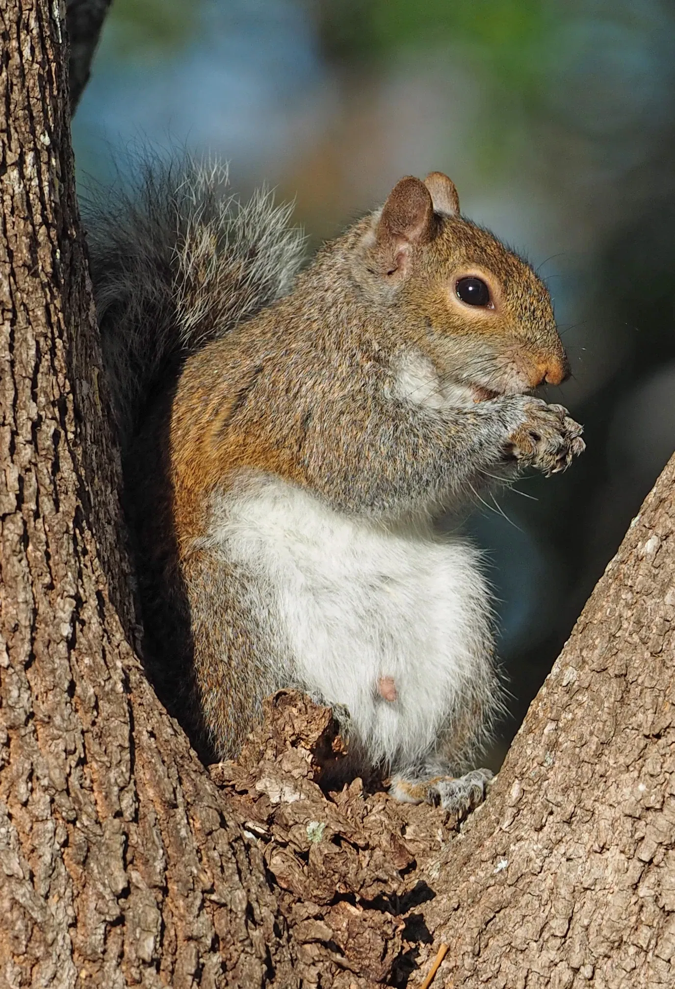 Fairchild Tropical Botanic Garden