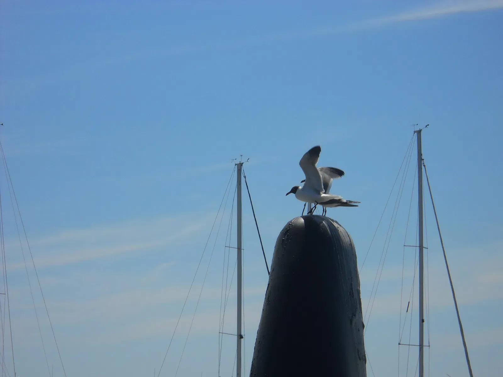 Patriots Point Naval and Maritime Museum