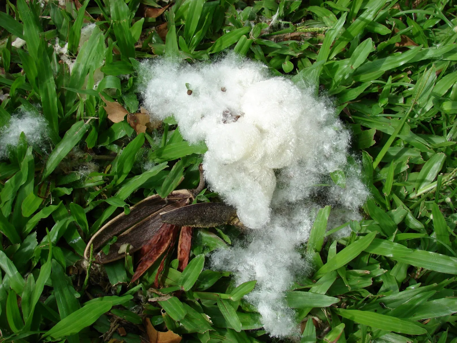 Jardín botánico Ho'omaluhia