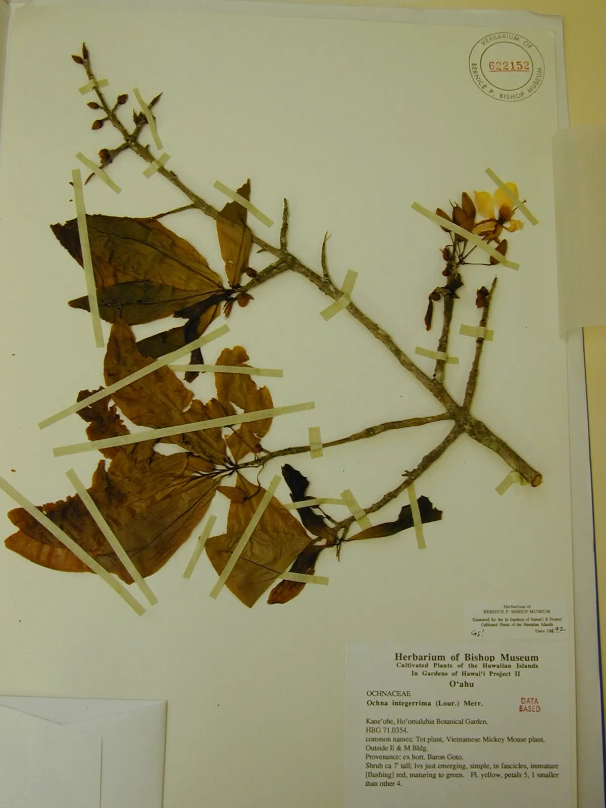 Jardín botánico Ho'omaluhia