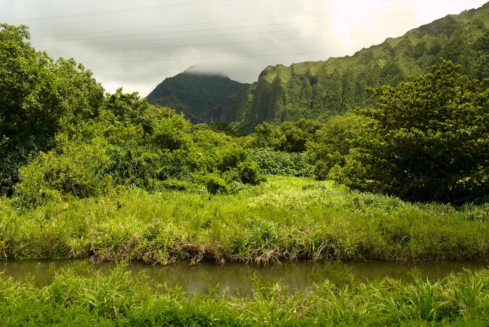 Ho'omaluhia Botanical Garden