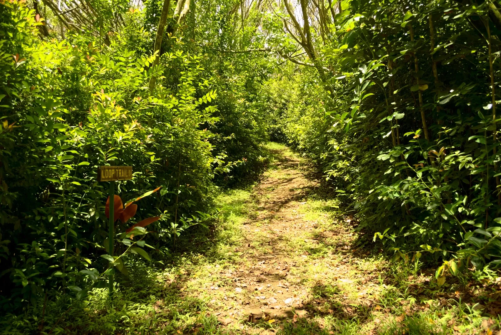 Jardín botánico Ho'omaluhia