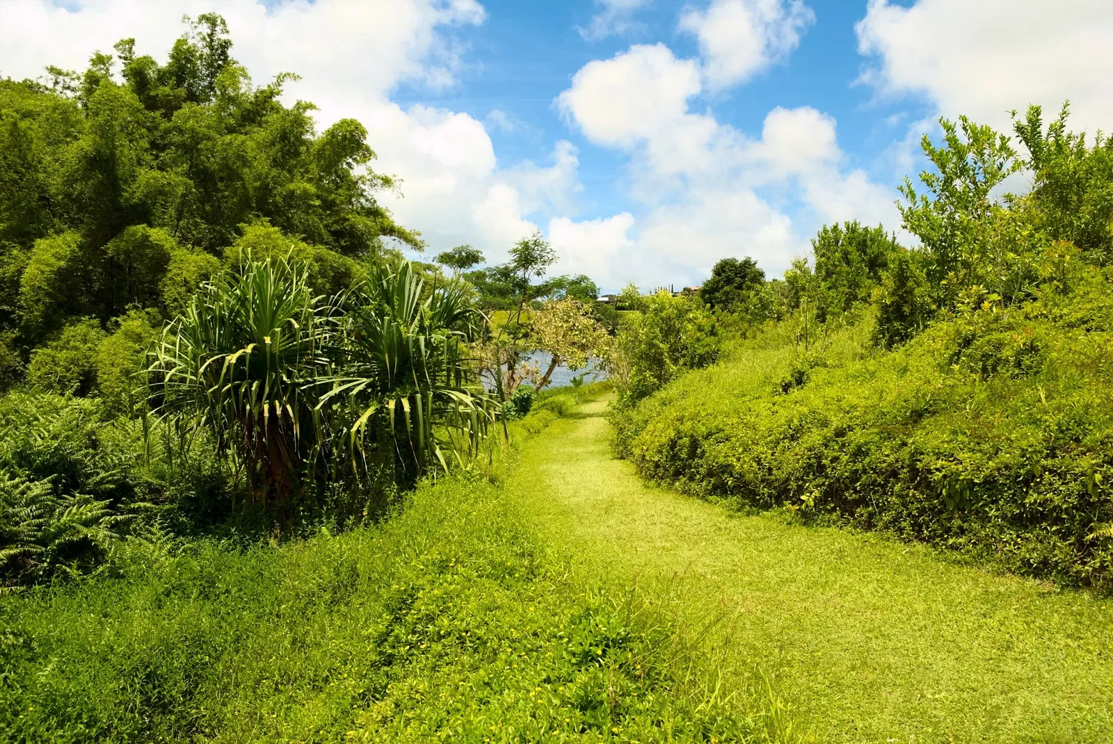 Jardín botánico Ho'omaluhia