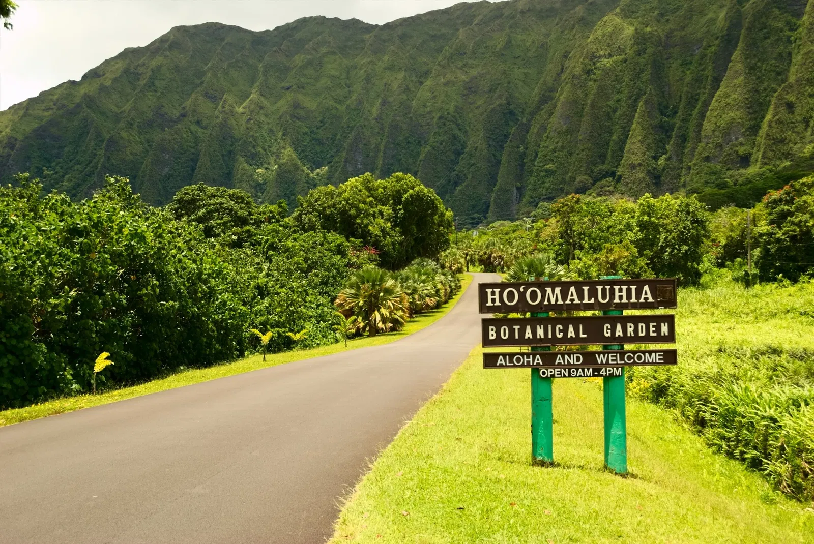 Ho'omaluhia Botanical Garden