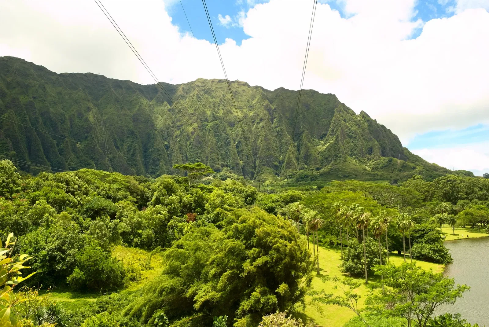 Ho'omaluhia Botanical Garden