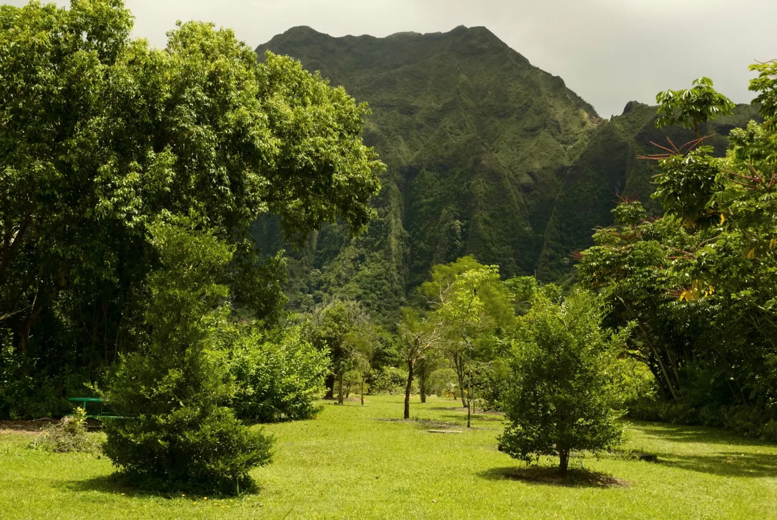 Ho'omaluhia Botanical Garden