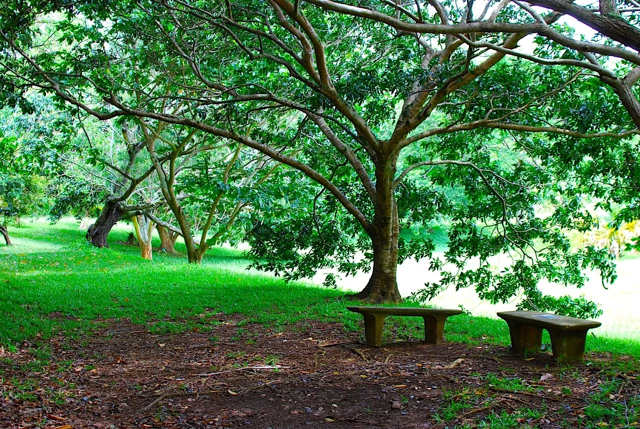 Ho'omaluhia Botanical Garden