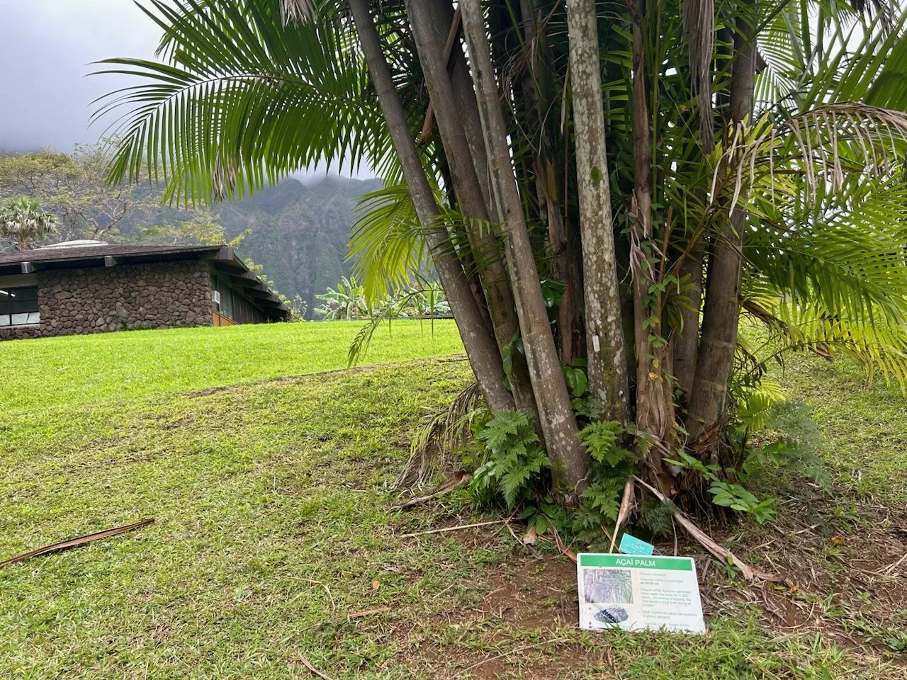 Jardín botánico Ho'omaluhia