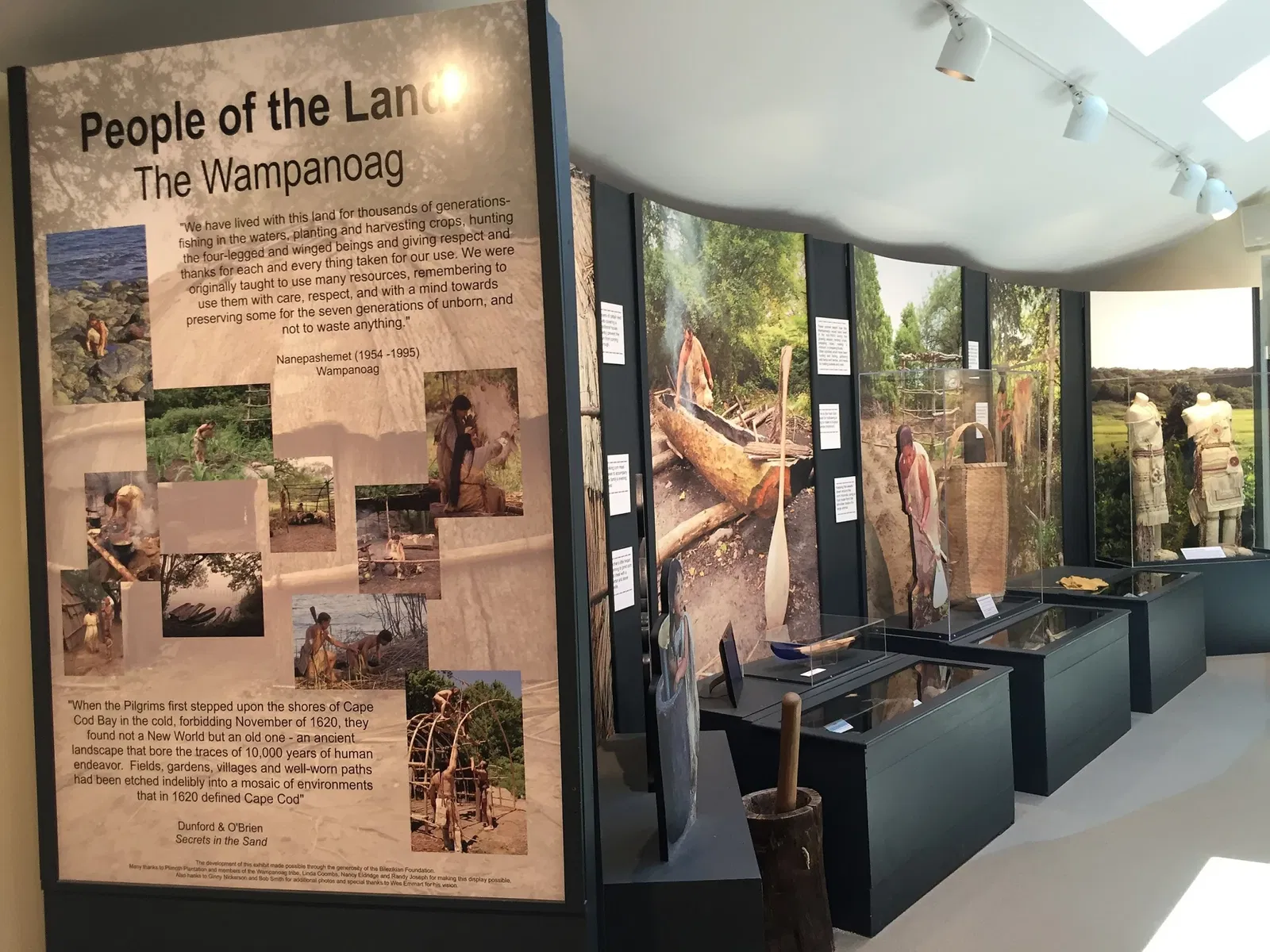 Cape Cod Museum of Natural History