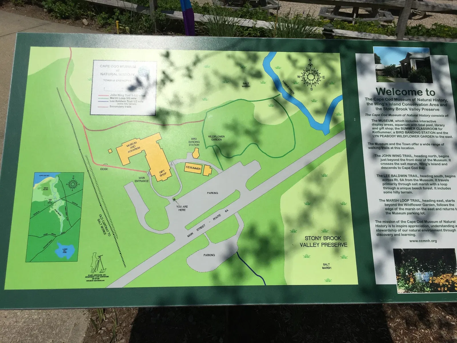 Cape Cod Museum of Natural History