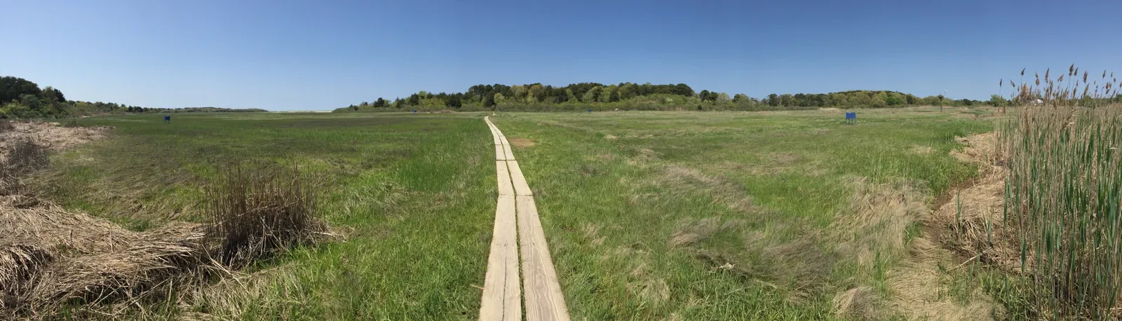 Cape Cod Museum of Natural History