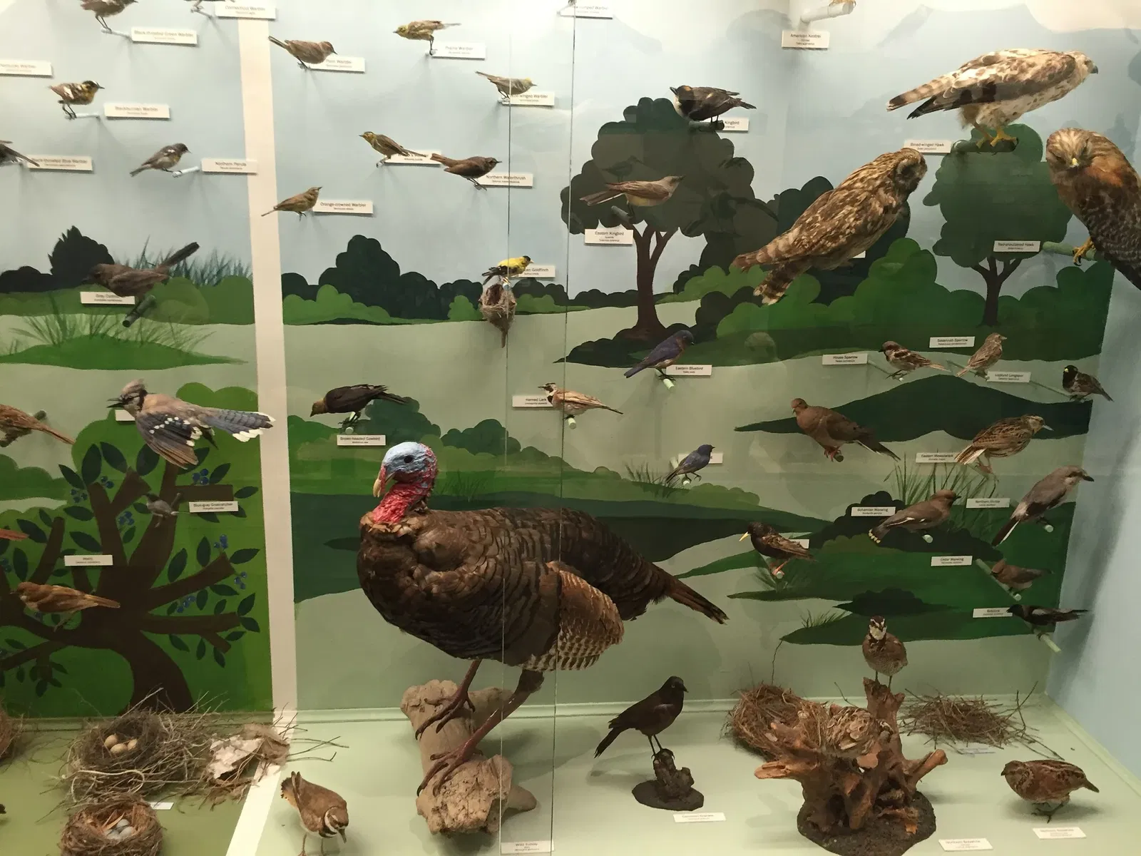 Cape Cod Museum of Natural History