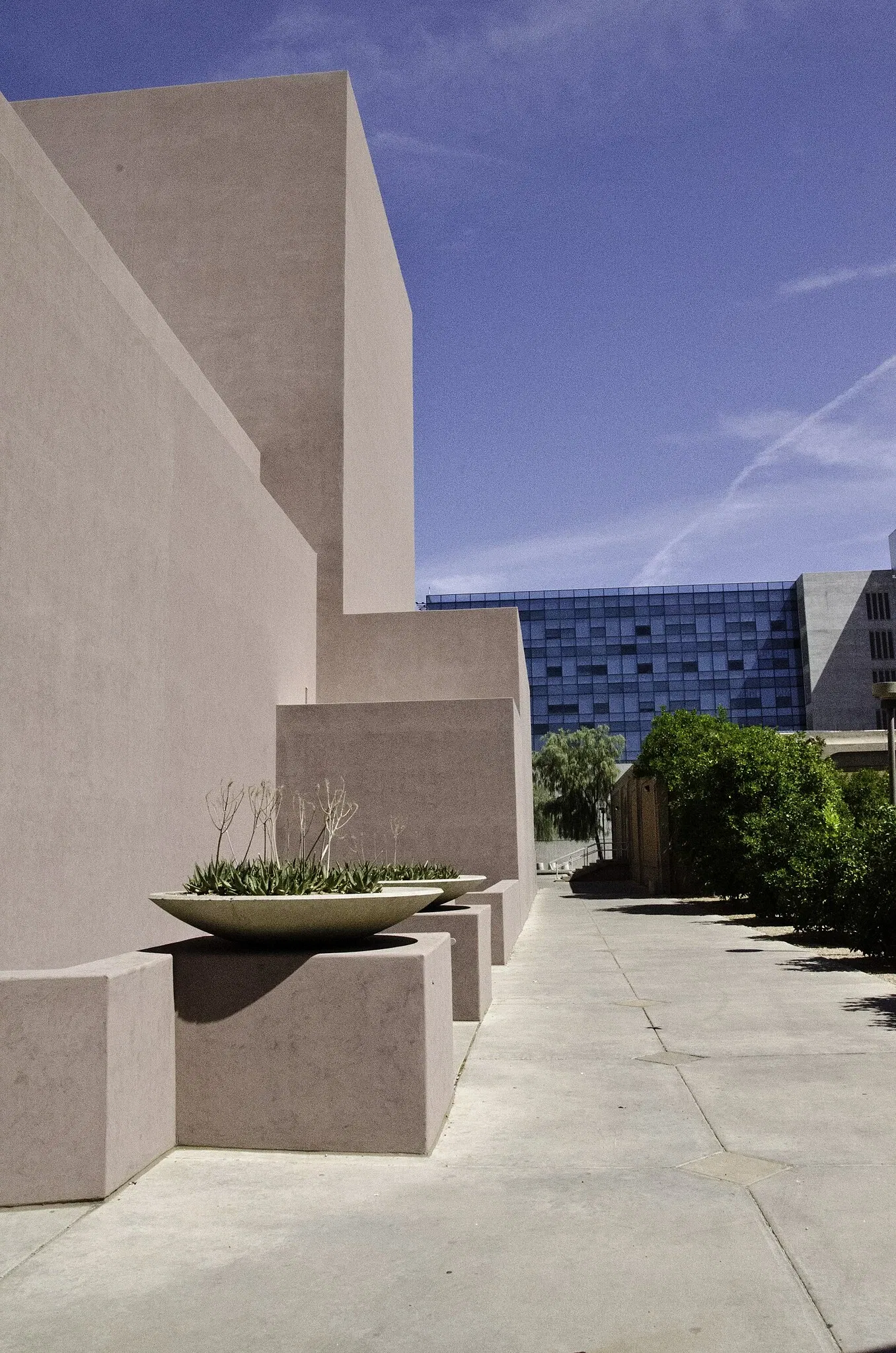 Arizona State University Art Museum