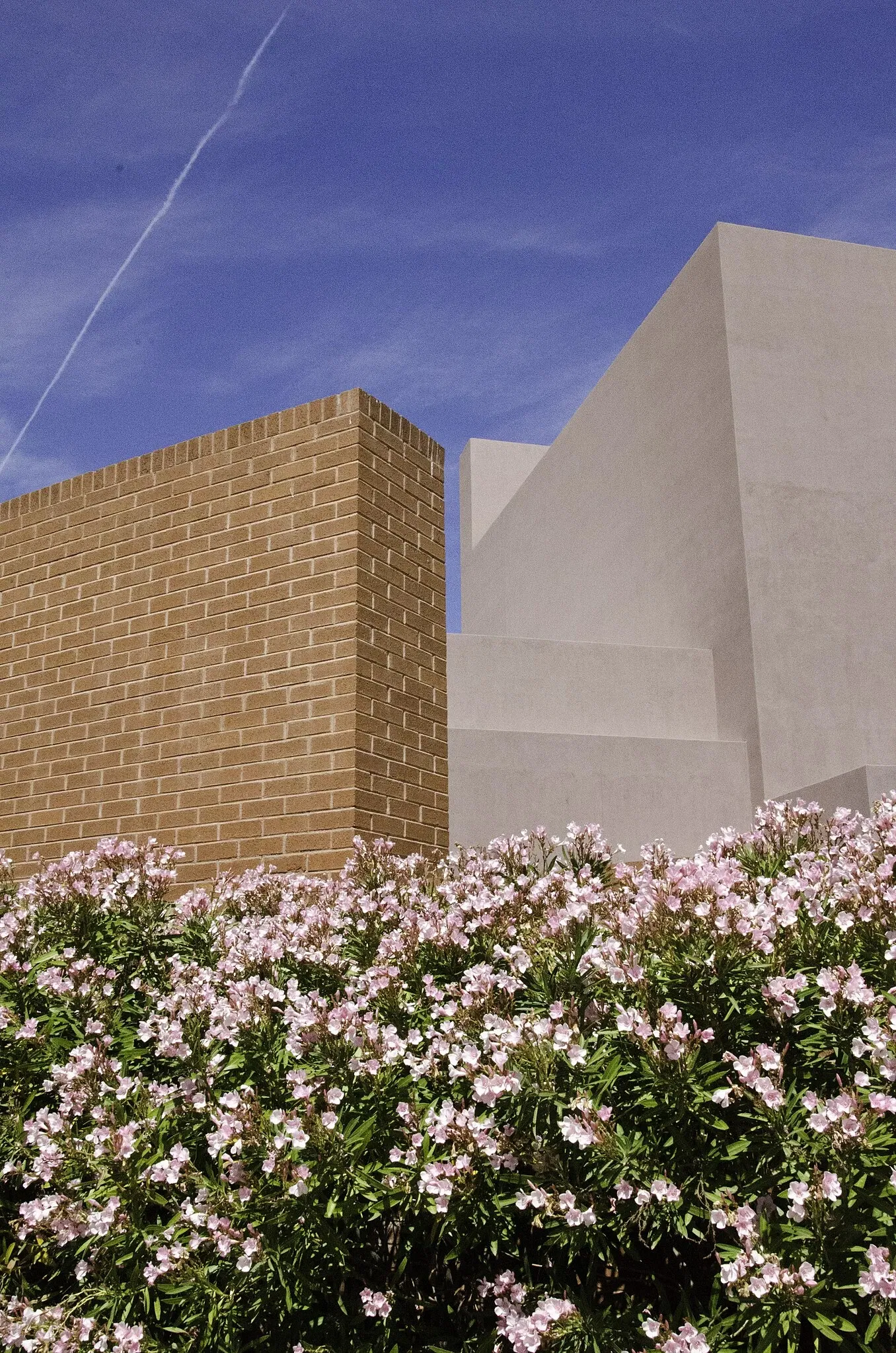 Museo de Arte de la Universidad Estatal de Arizona