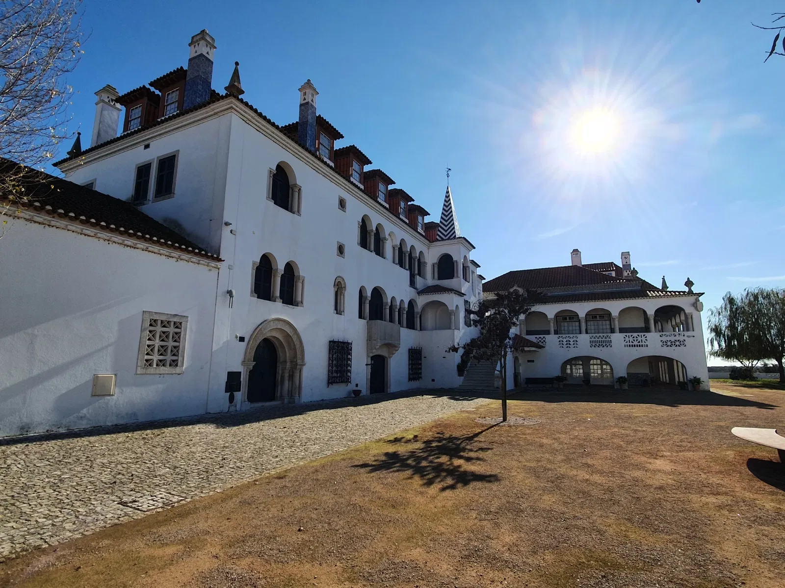 Casa dos Patudos - Museu de Alpiarça