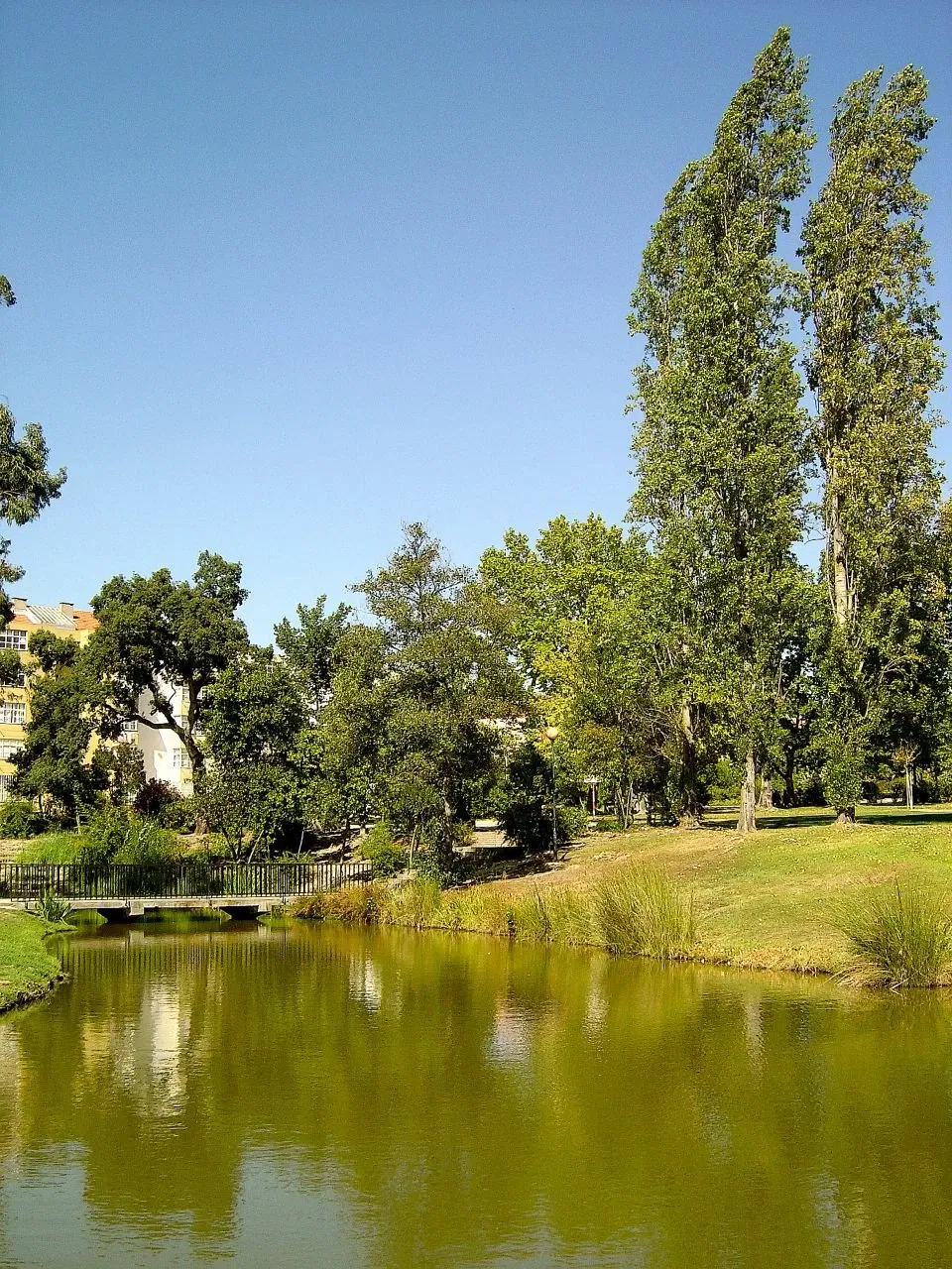 Moita Municipal Park