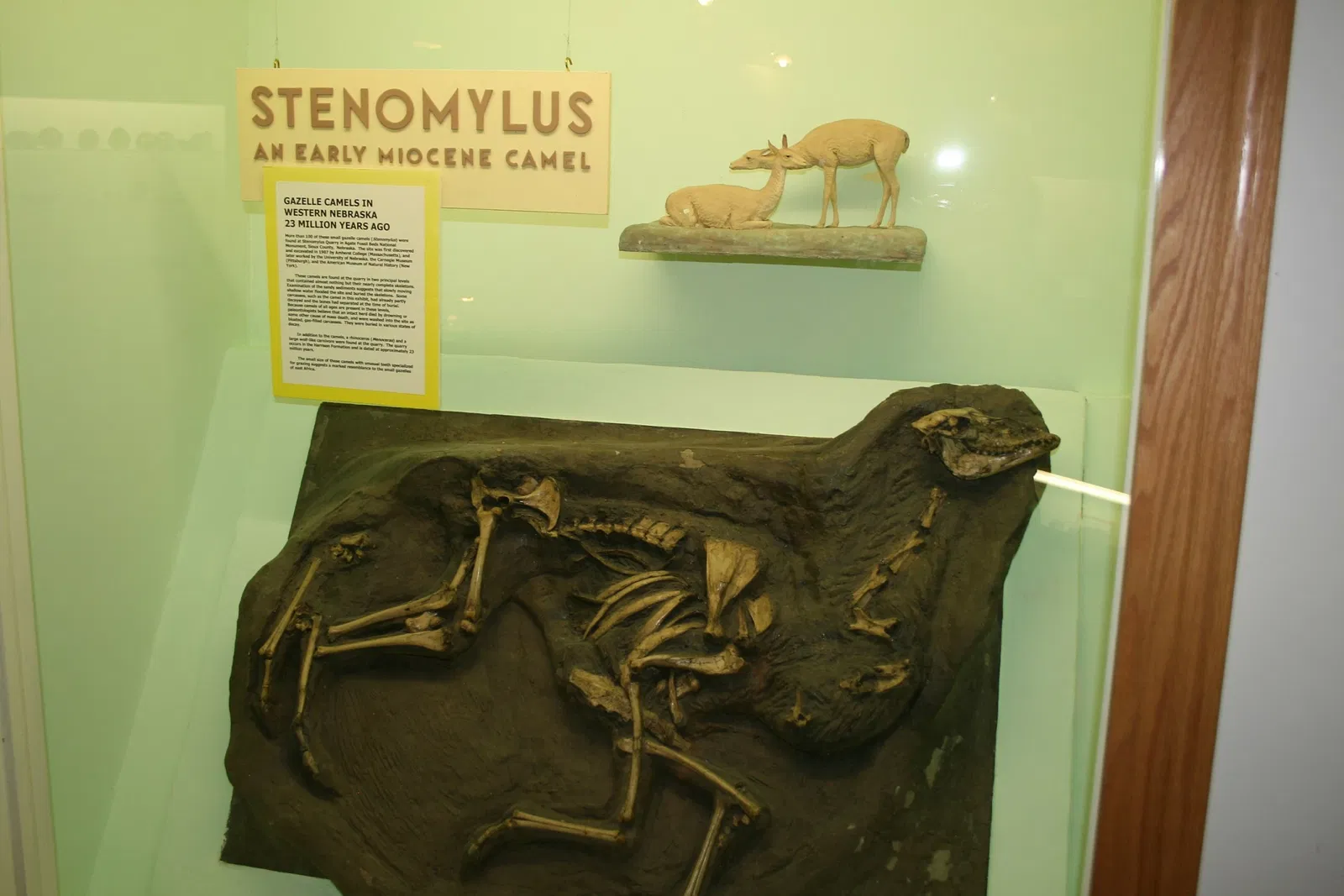 Museo de historia natural de Fort Robinson State Park