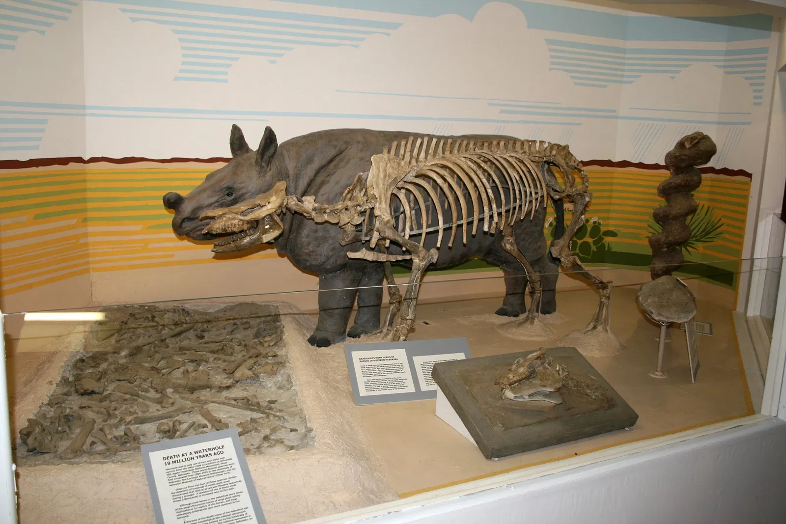 Trailside Museum of Natural History