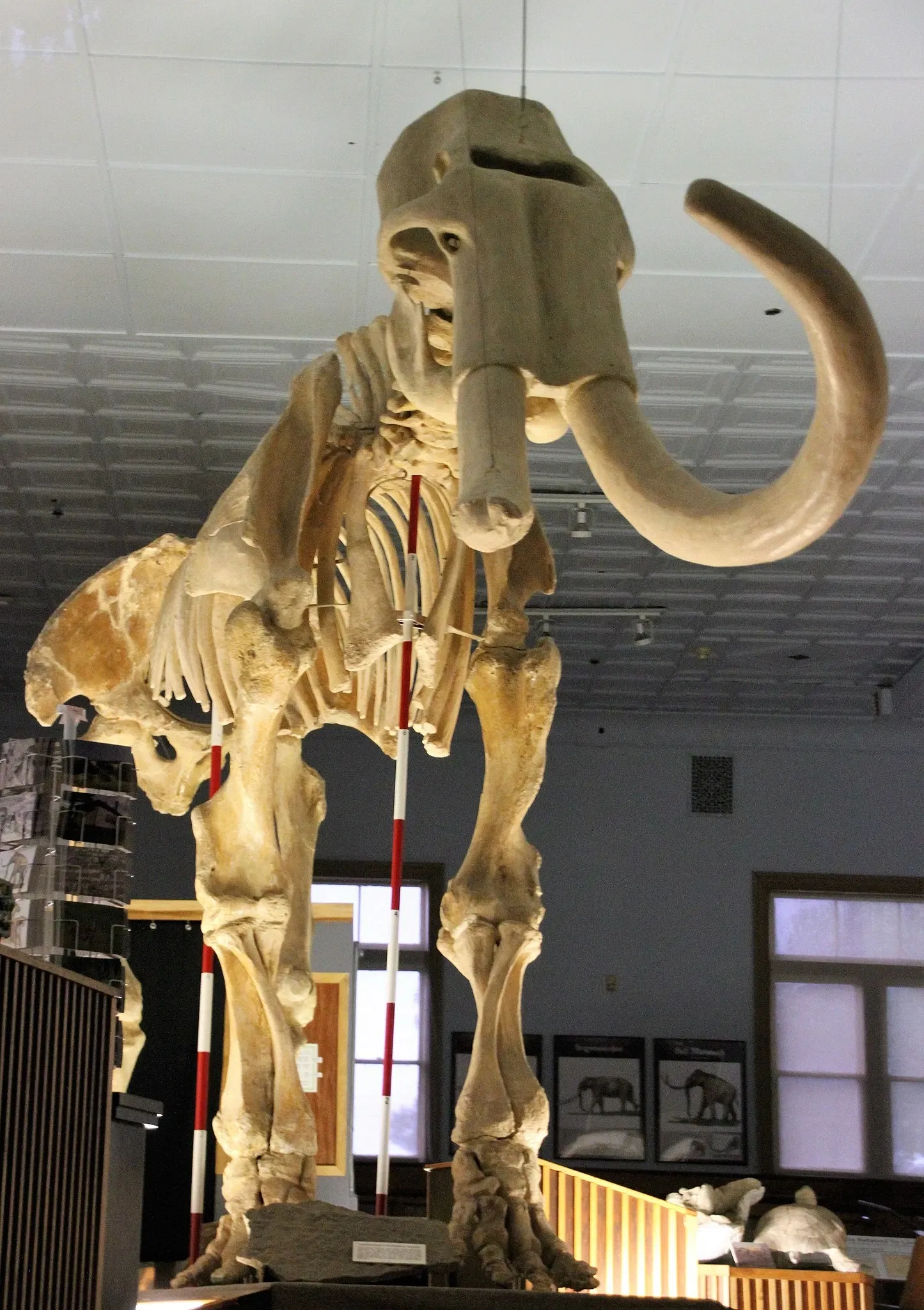 Museo de historia natural de Fort Robinson State Park
