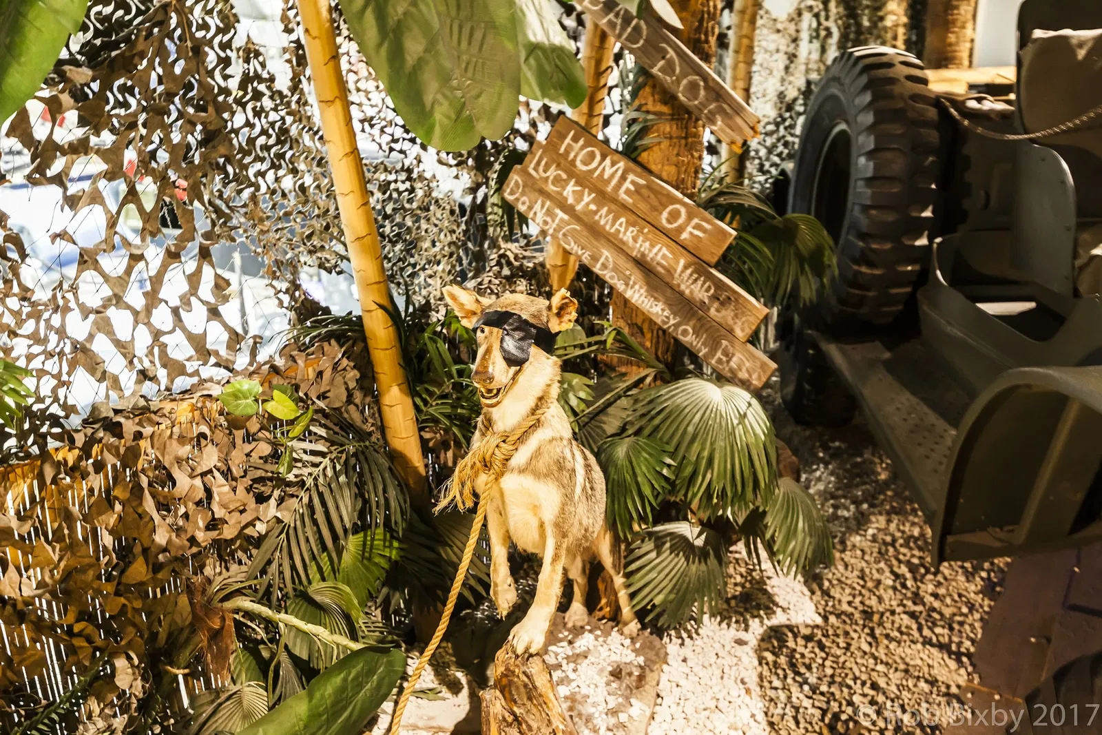 National Naval Aviation Museum