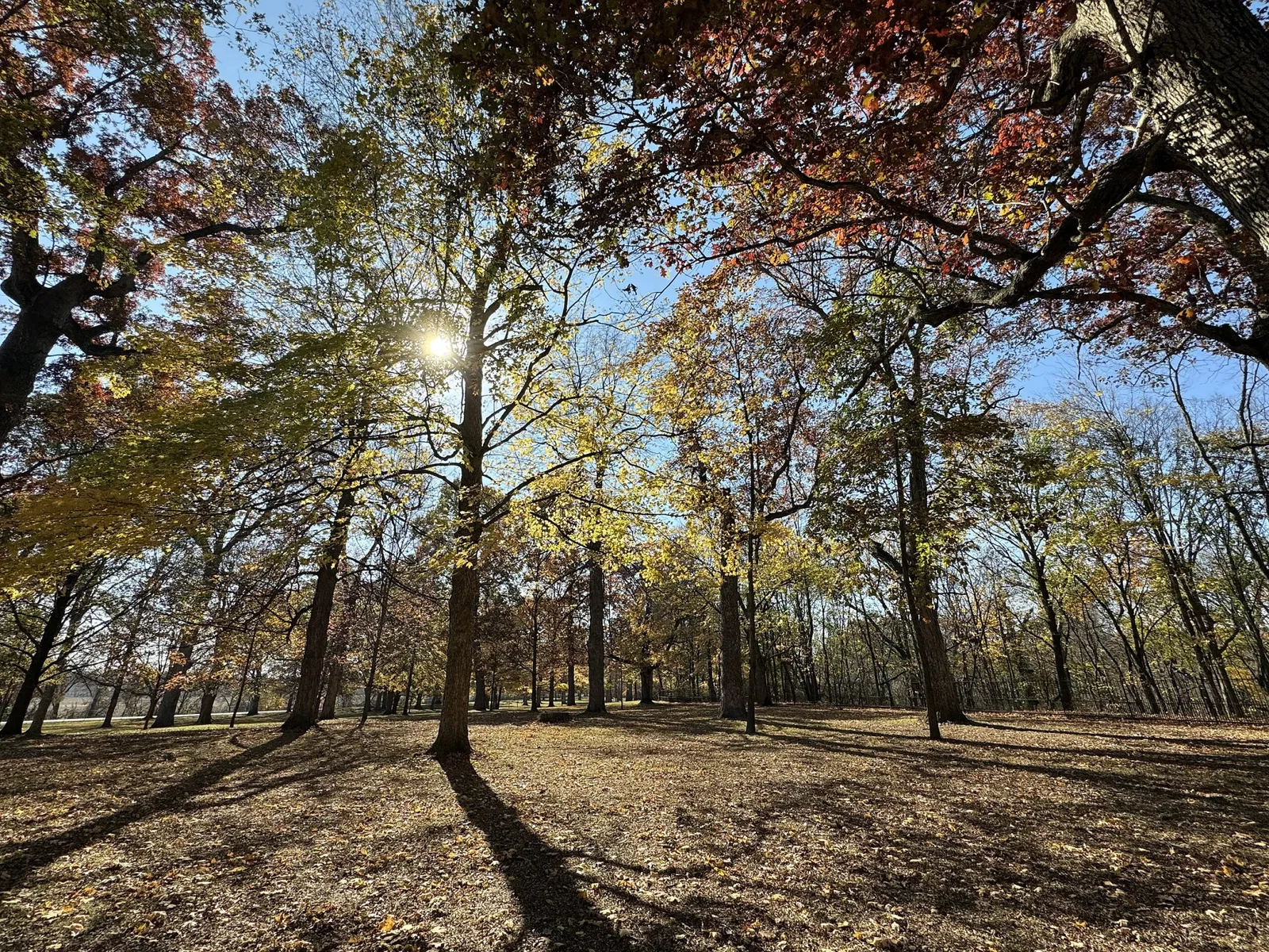 Tippecanoe Battlefield & Museum