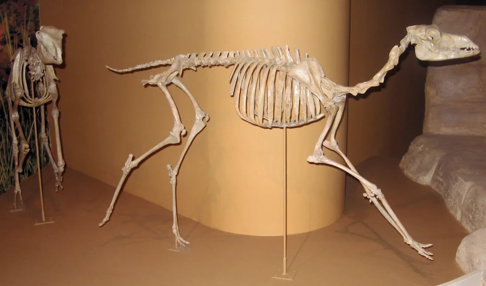 Sam Noble Oklahoma Museum of Natural History