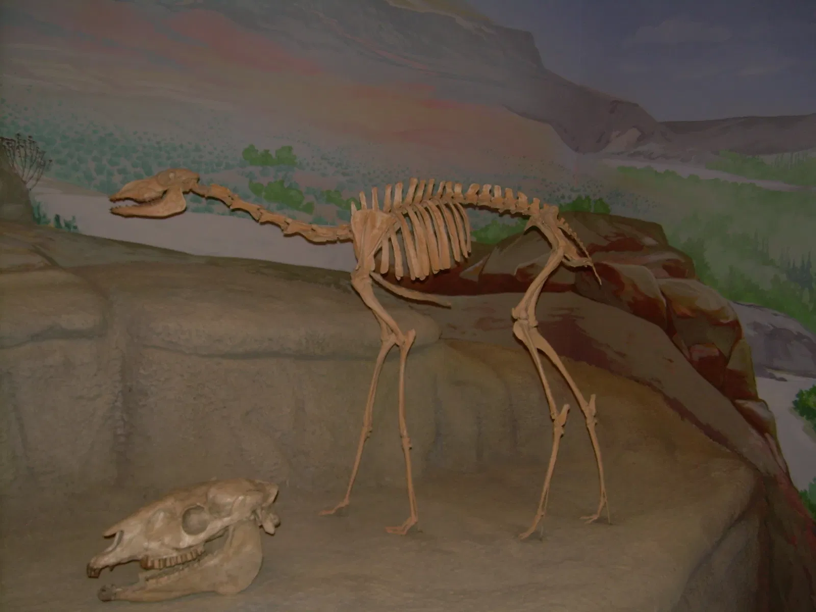 Sam Noble Oklahoma Museum of Natural History