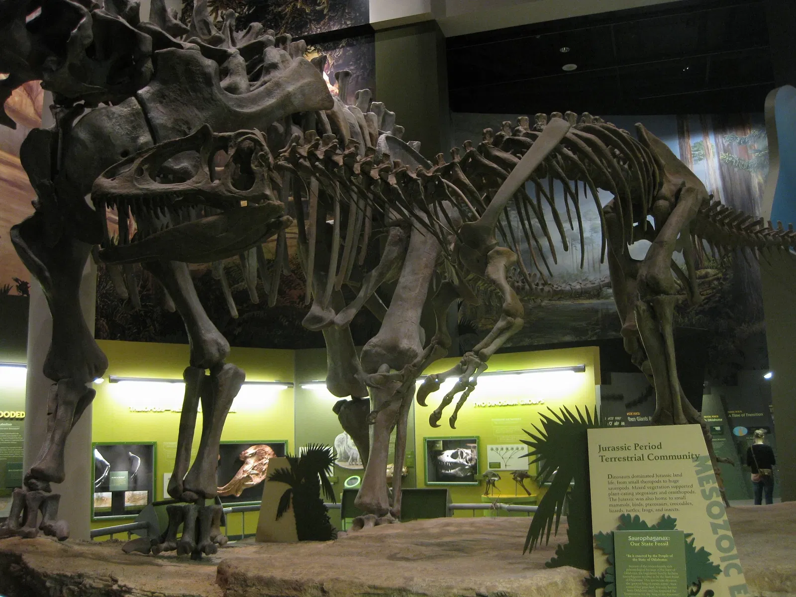 Sam Noble Oklahoma Museum of Natural History