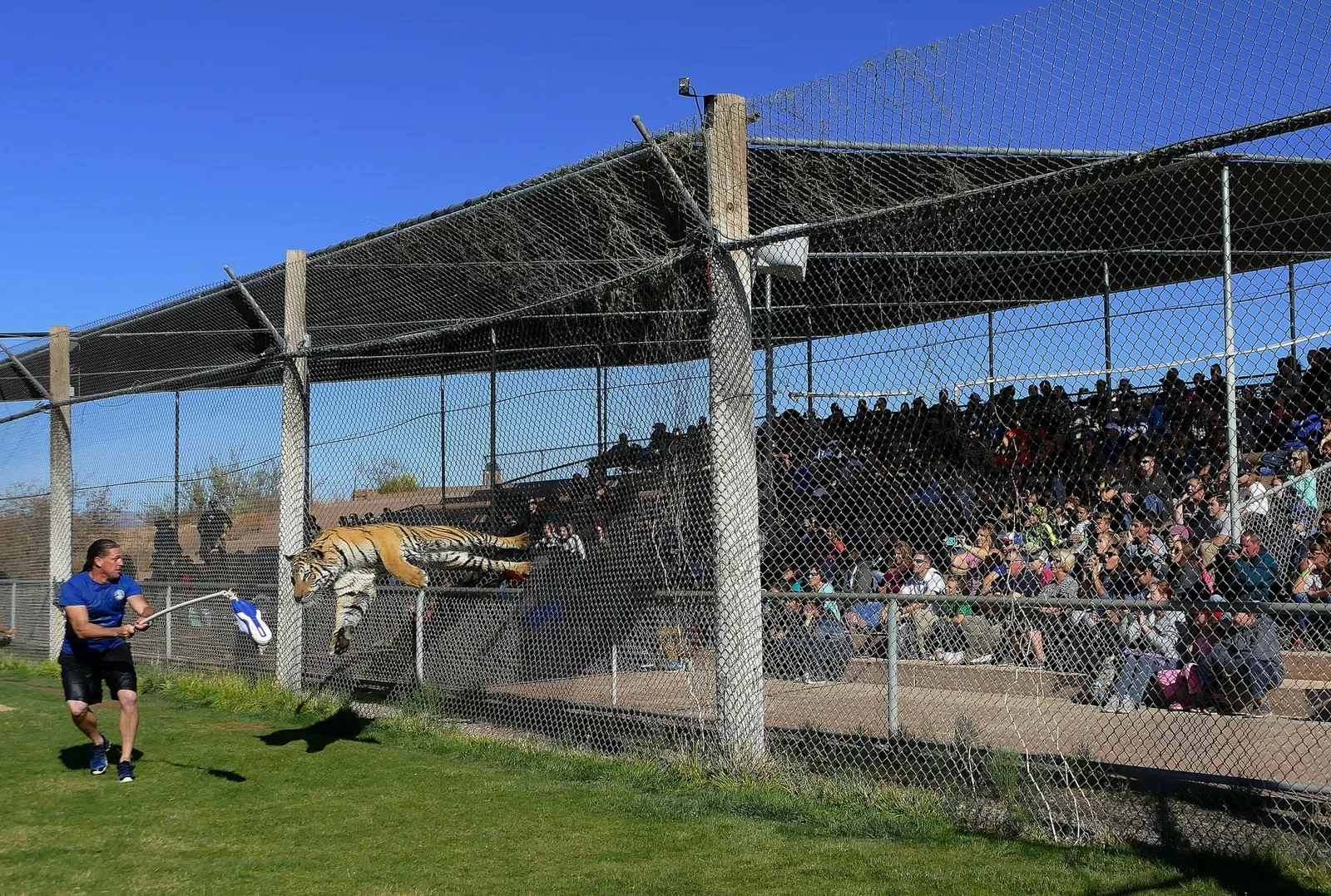 Out of Africa Wildlife Park