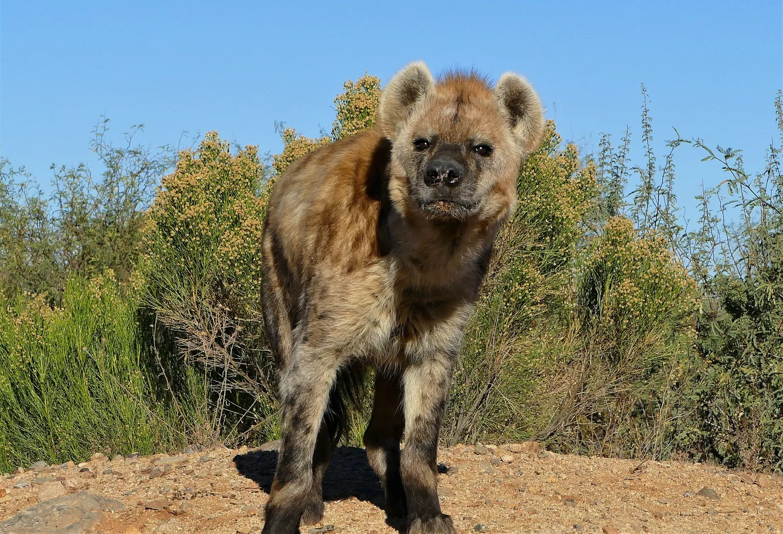 Out of Africa Wildlife Park