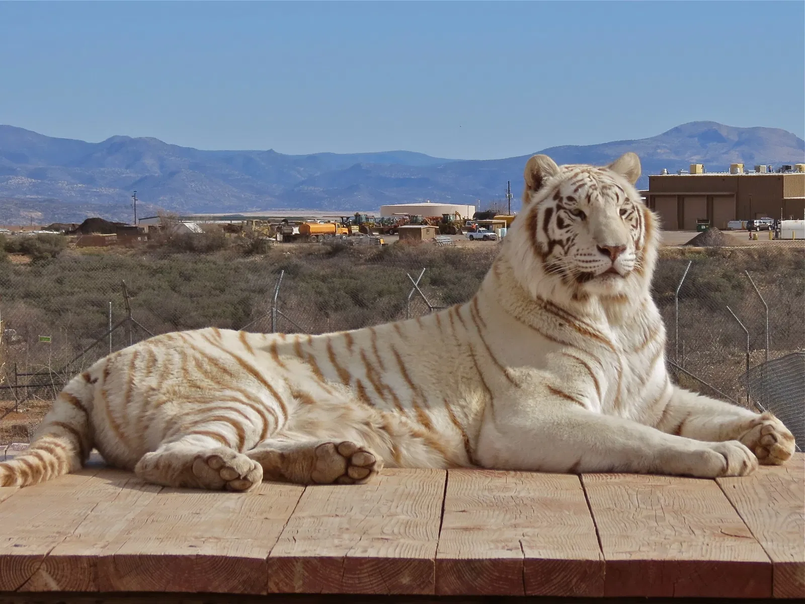 Out of Africa Wildlife Park
