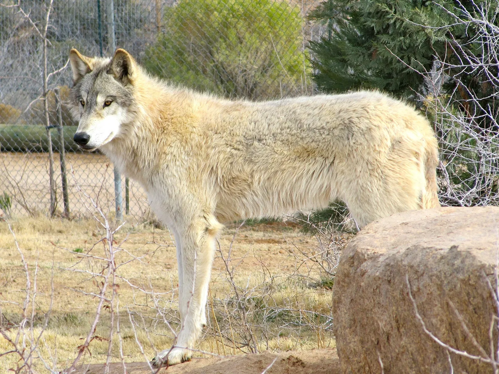Out of Africa Wildlife Park