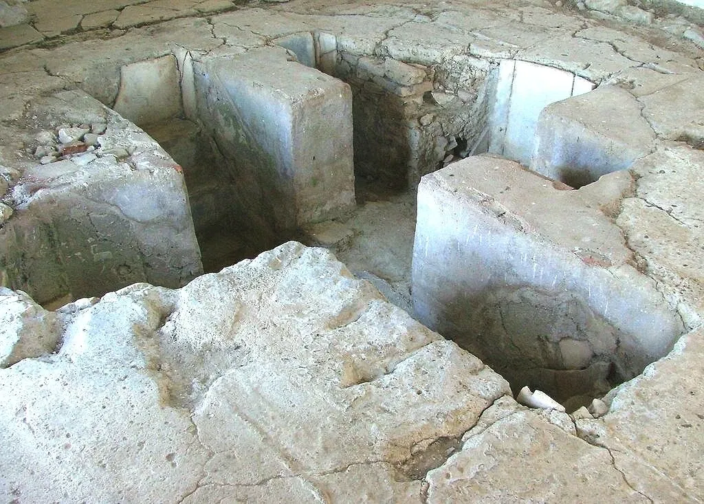 Villa Lusitano-Romana de Torre de Palma