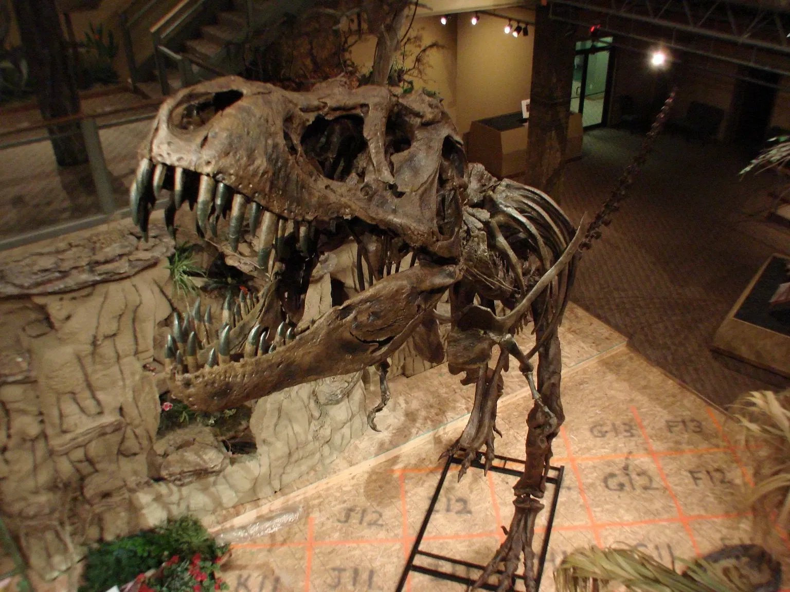 Glendive Dinosaur and Fossil Museum