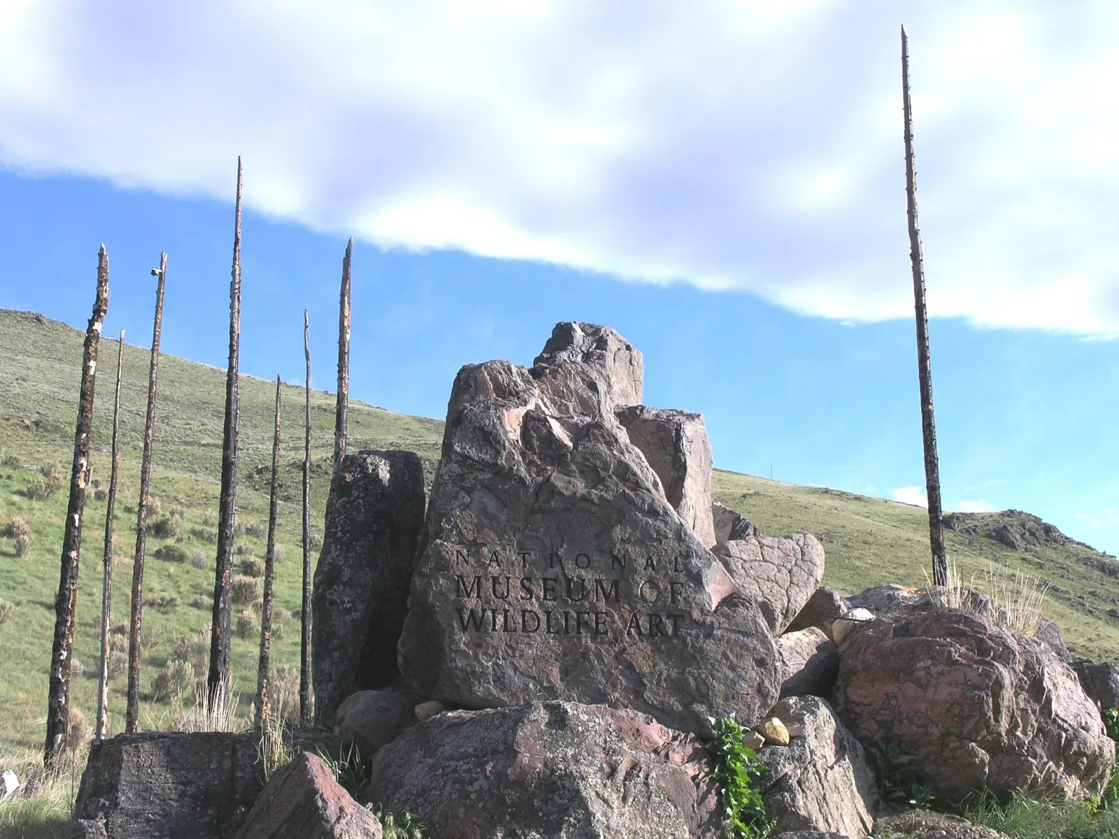 National Museum of Wildlife Art