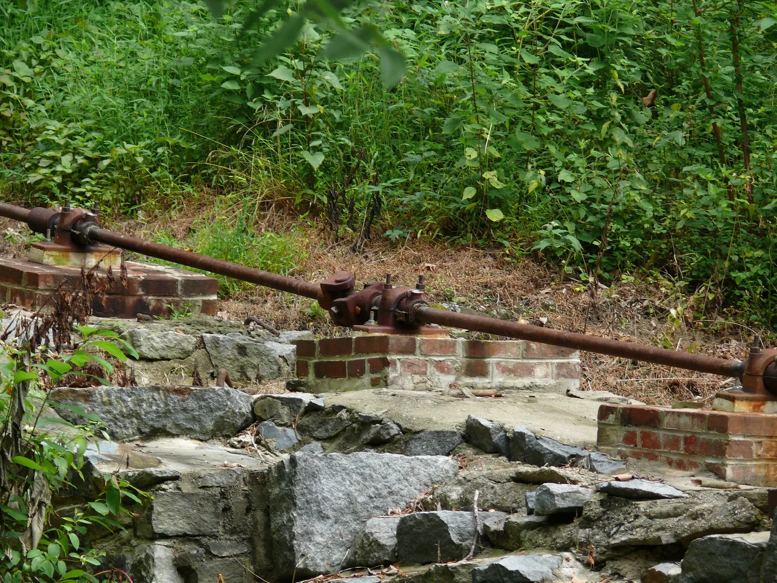 Hagley Museum and Library