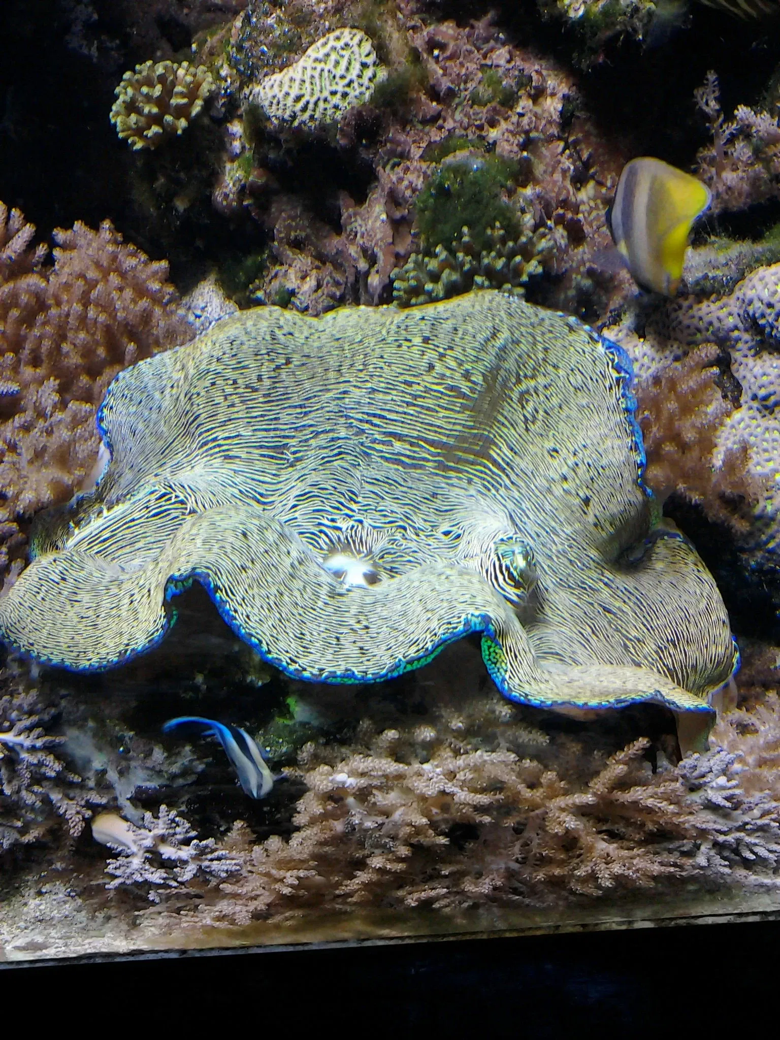 North Carolina Aquarium on Roanoke Island