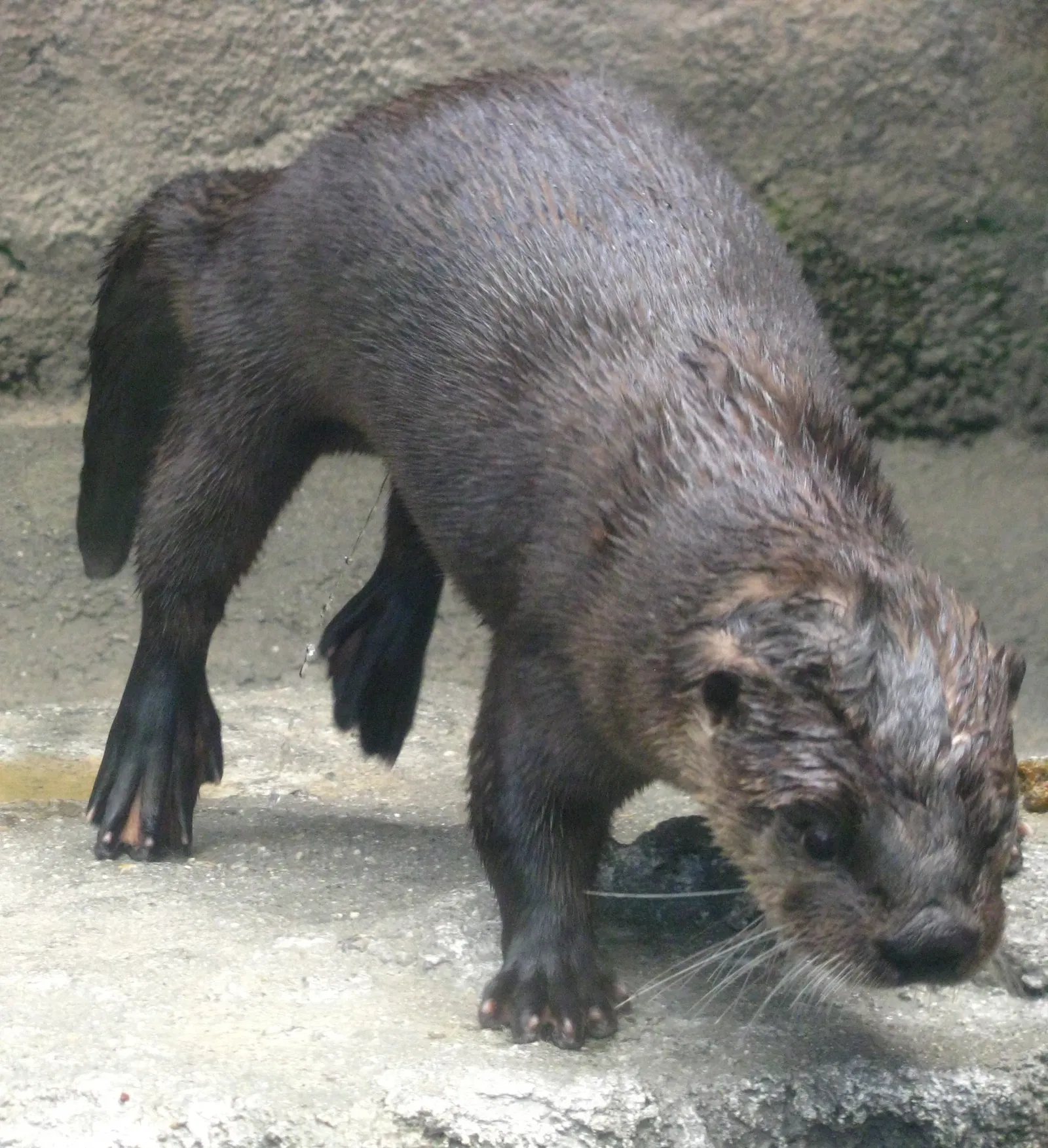 North Carolina Aquarium on Roanoke Island