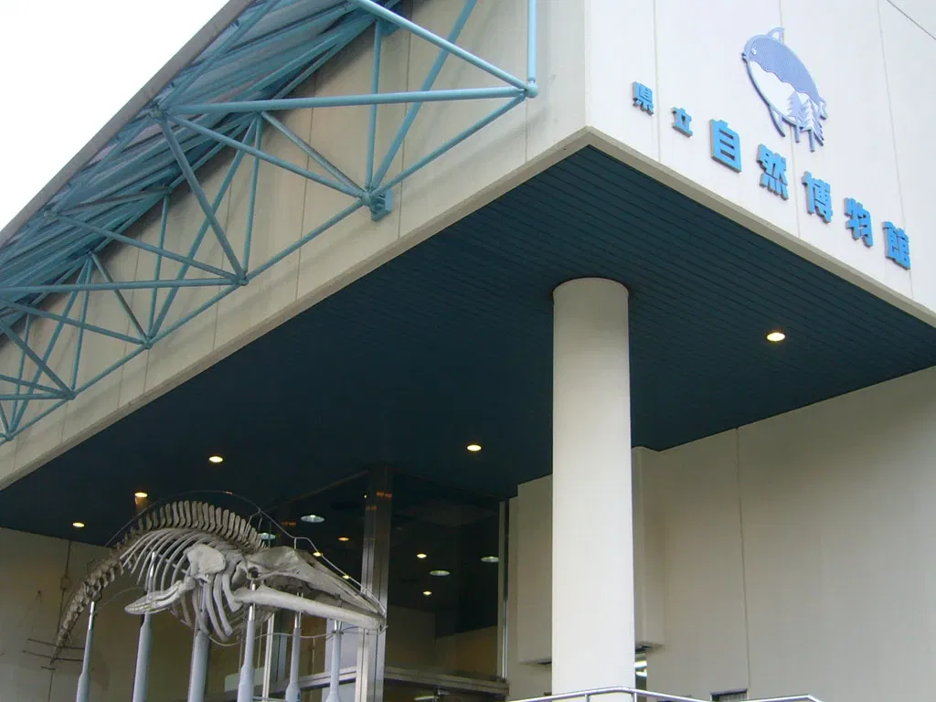Wakayama Prefectural Museum of Natural History
