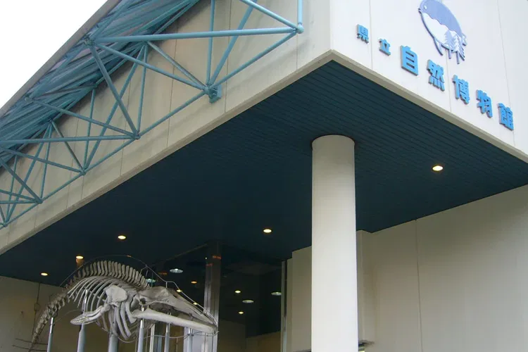 Wakayama Prefectural Museum of Natural History