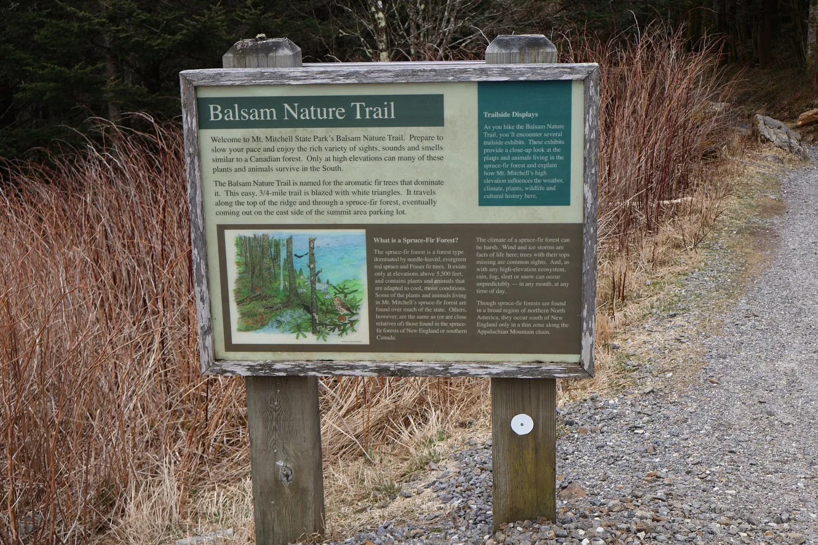 Mount Mitchell State Park