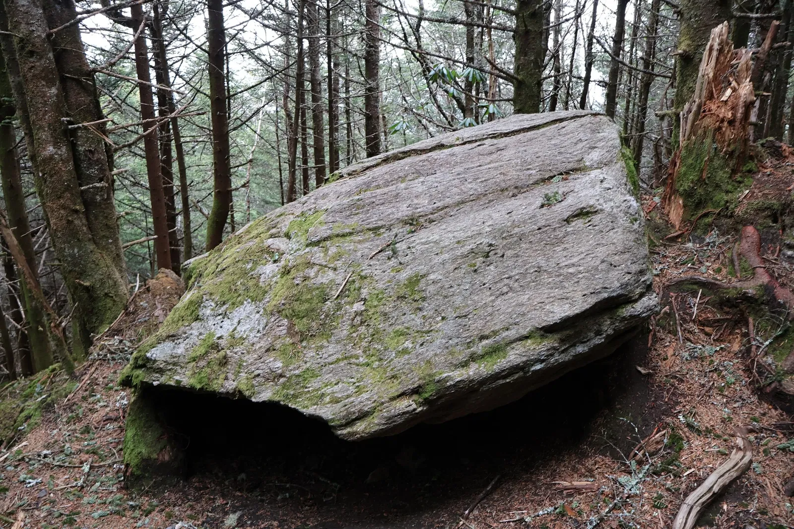 Mount Mitchell State Park