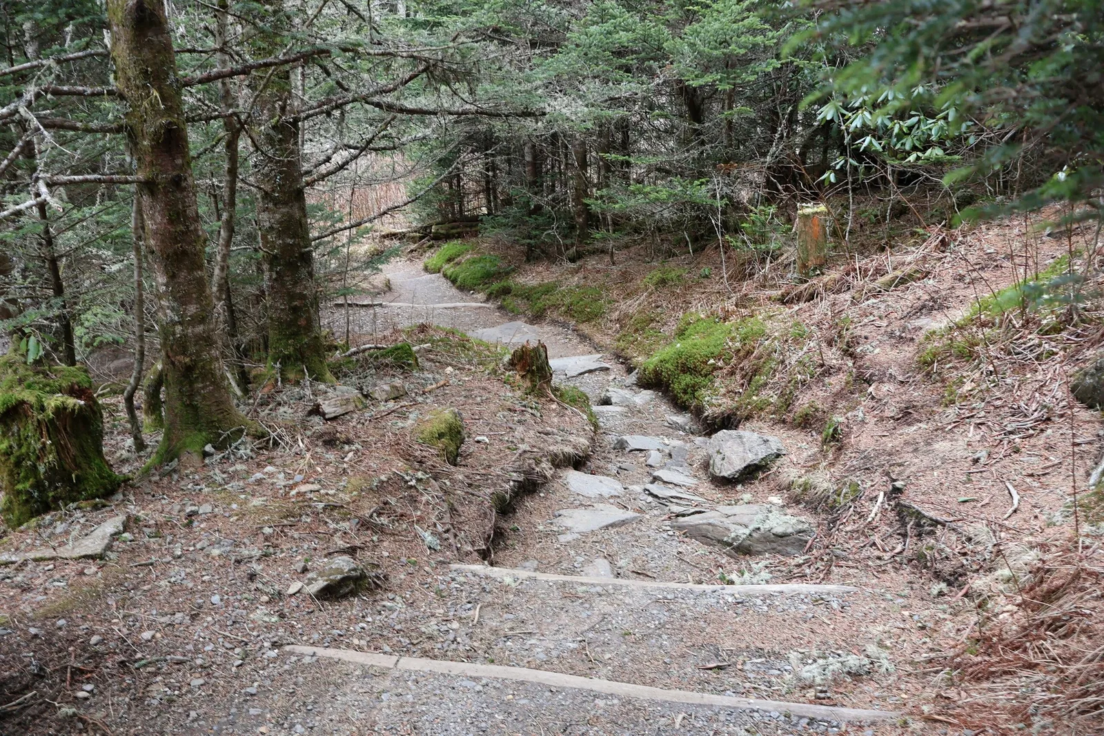Mount Mitchell State Park